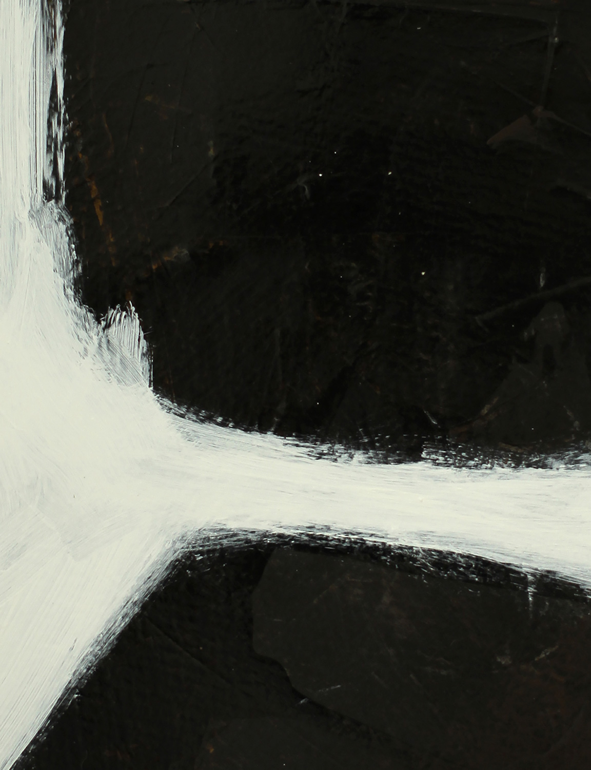 black-and-white-two_closeup